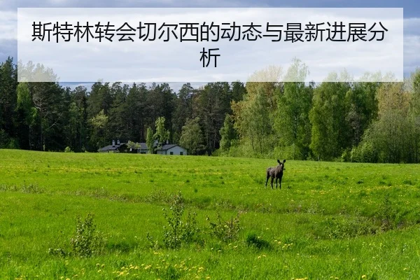 斯特林转会切尔西的动态与最新进展分析